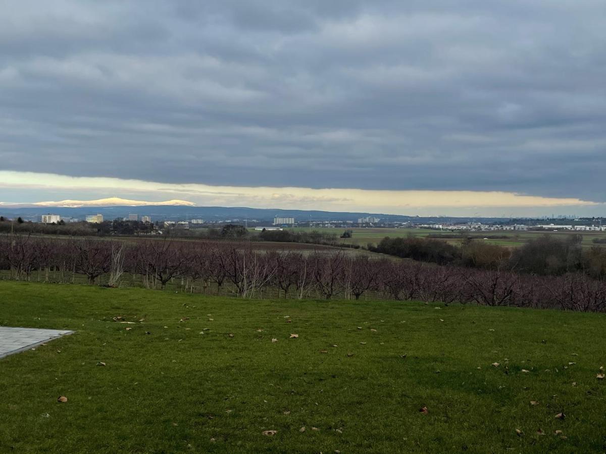 Weingut Bugner Meizelhof Klein-Winternheim Esterno foto