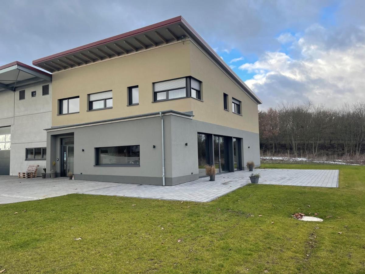 Weingut Bugner Meizelhof Klein-Winternheim Esterno foto